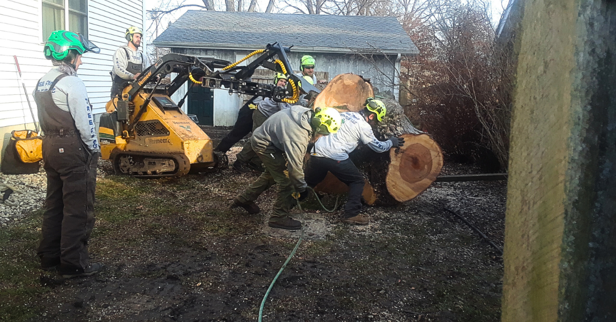 Land Clearing